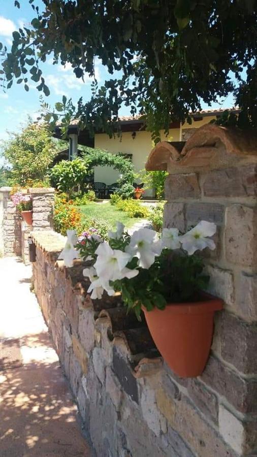 B&B Ottoulivi Sardara Exterior photo