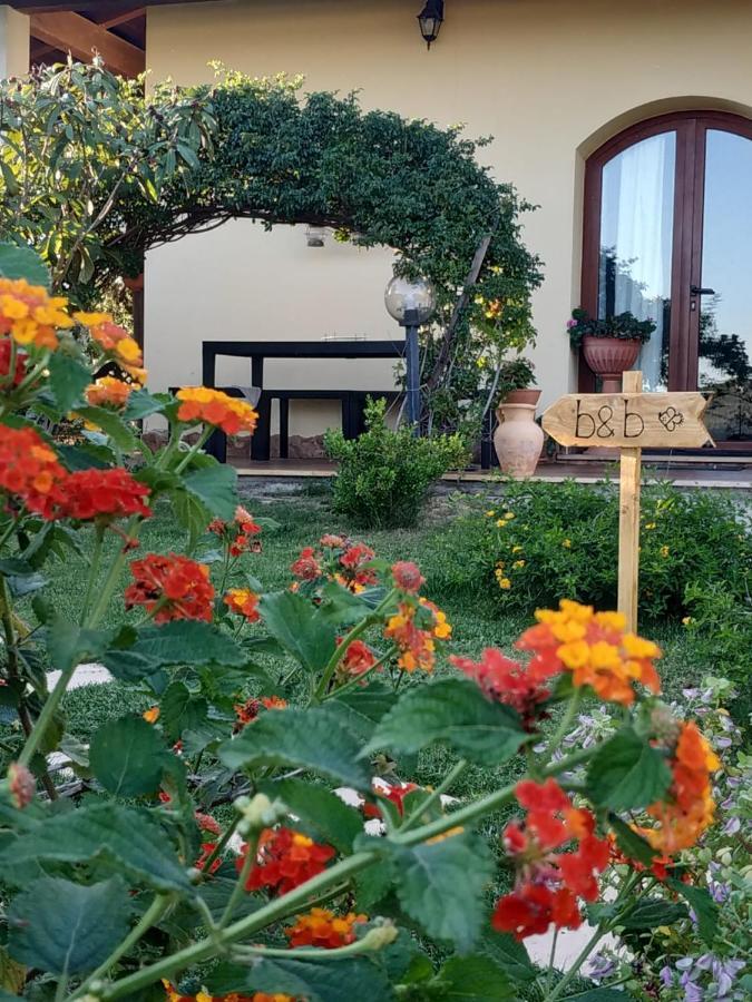 B&B Ottoulivi Sardara Exterior photo